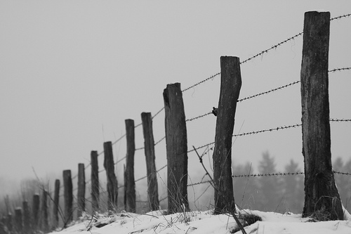 "Fence and barbed wire" de Alexandre Dulaunoy