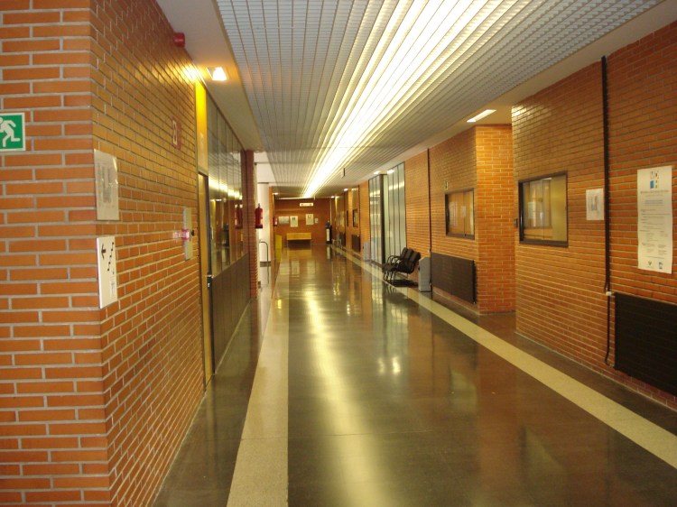 Fin de curso en la Facultad